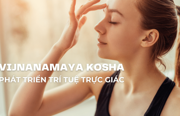 Vijnanamaya Kosha