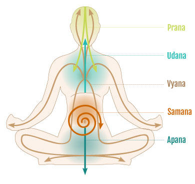 Anandamaya Kosha – Tìm về trạng thái an lạc nội tâm qua thiền định