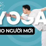 YOGA CHO NGƯỜI MỚI BẮT ĐẦU