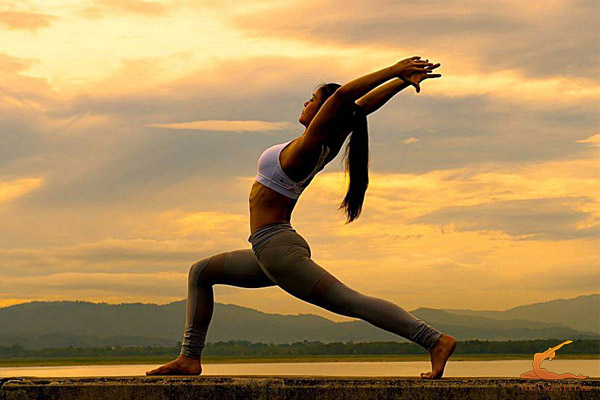 Gợi ý lịch tập Yoga 7 ngày cho người mới bắt đầu
