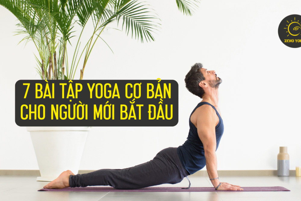 bài tập Yoga cơ bản cho người mới bắt đầu