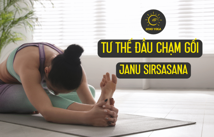 Janu Sirsasana Janu Sirsasana
