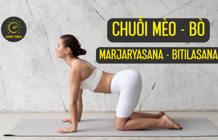 Chuỗi Mèo Bò Chuỗi Mèo Bò