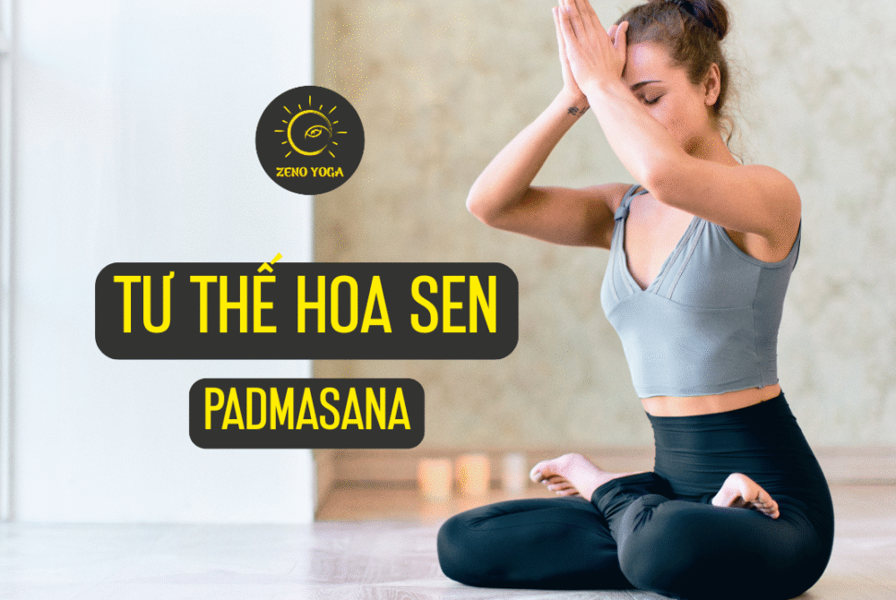 Padmasana - Tư thế Hoa Sen