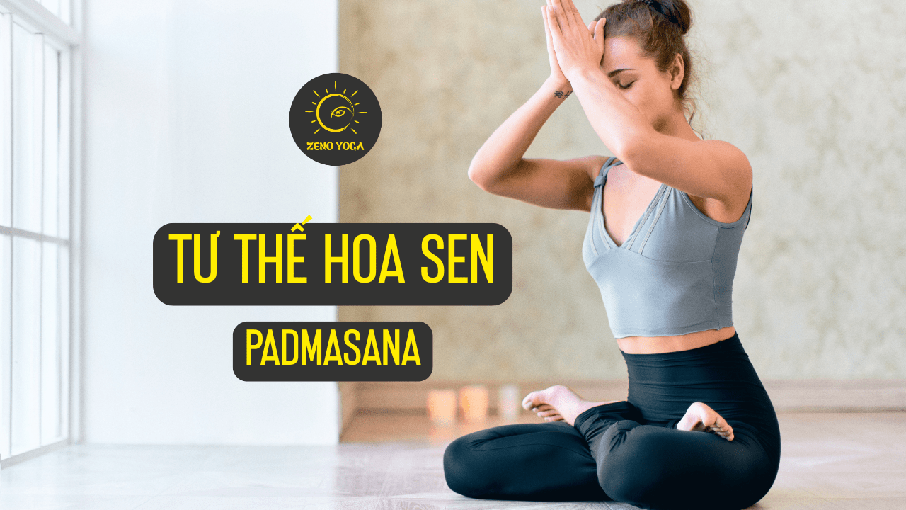 Padmasana - Tư thế Hoa Sen
