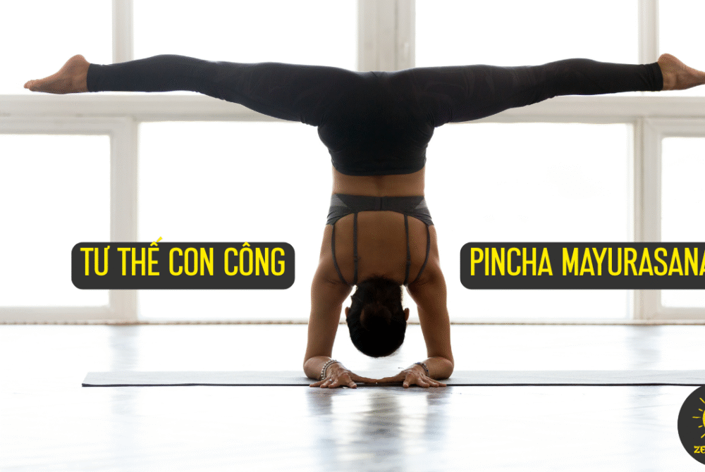 Pincha-Mayurasana