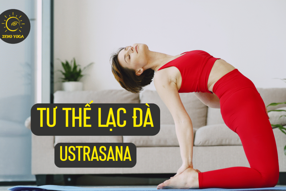 Ustrasana