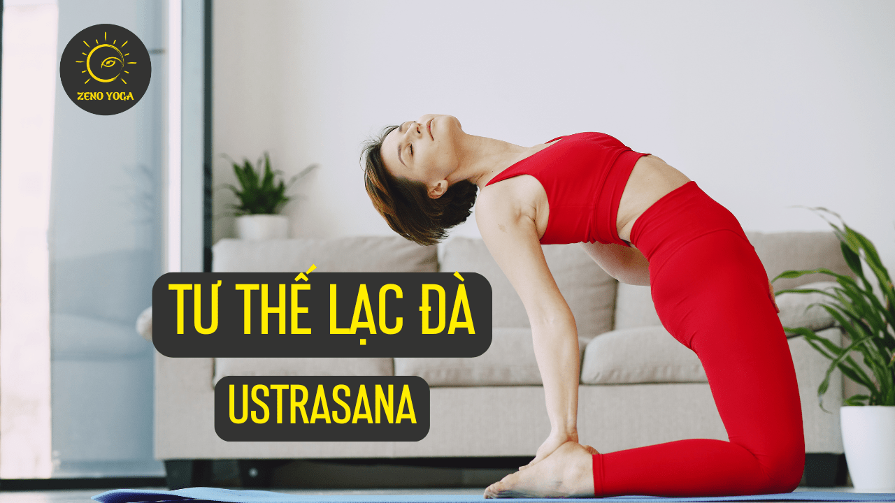Ustrasana