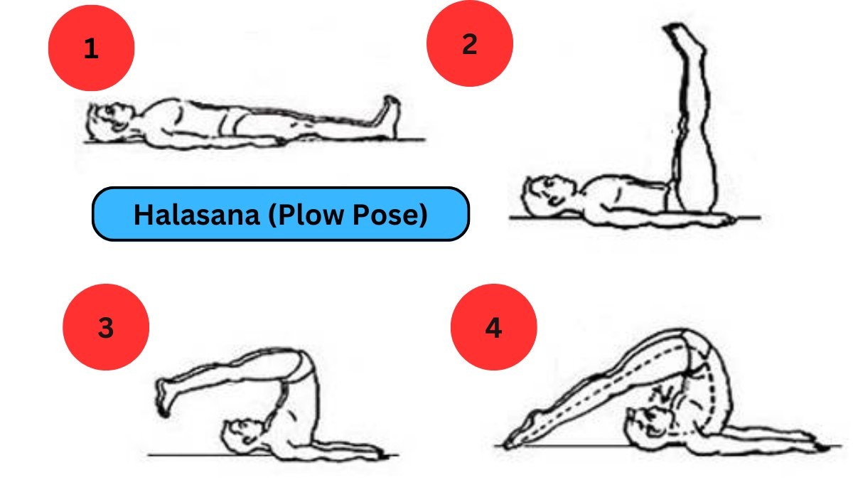 cách thực hành halasana